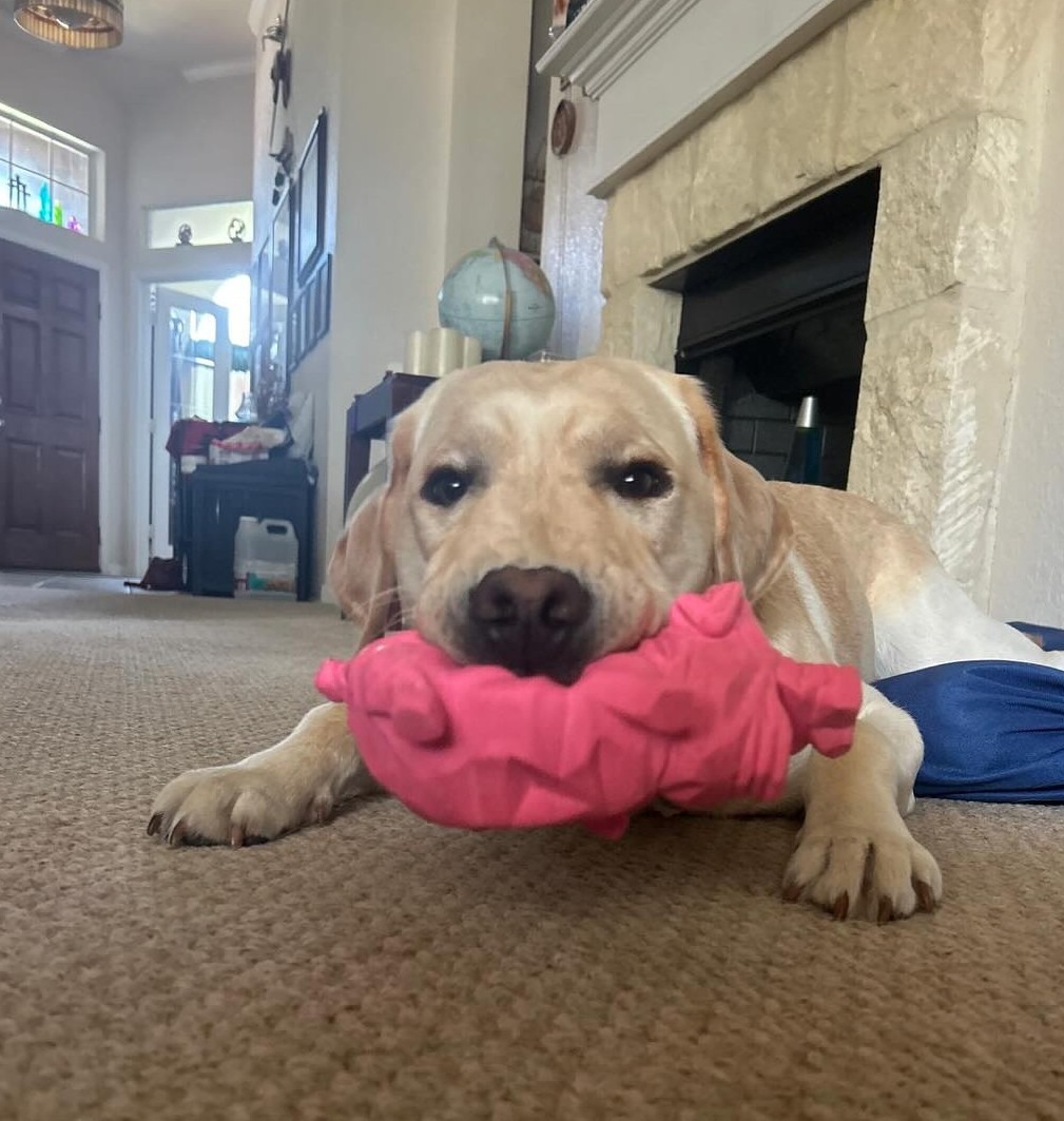Pete Toy (1)